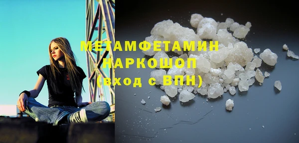 индика Инсар