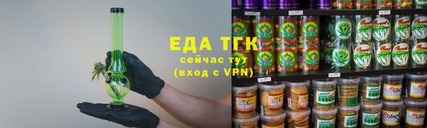 индика Инсар