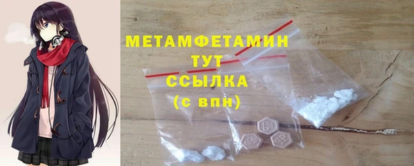 индика Инсар