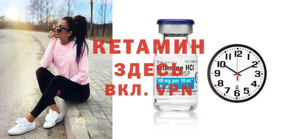 индика Инсар