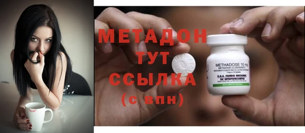 индика Инсар