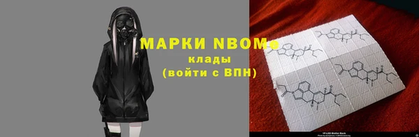 индика Инсар
