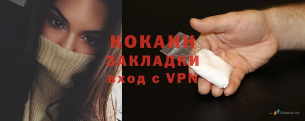 индика Инсар