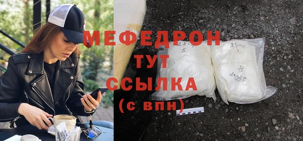 индика Инсар