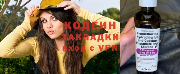 индика Инсар