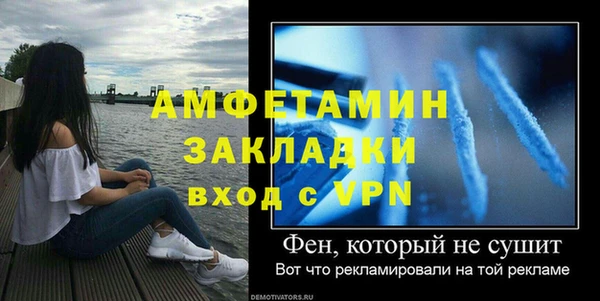 индика Инсар