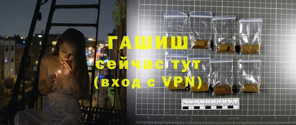 индика Инсар