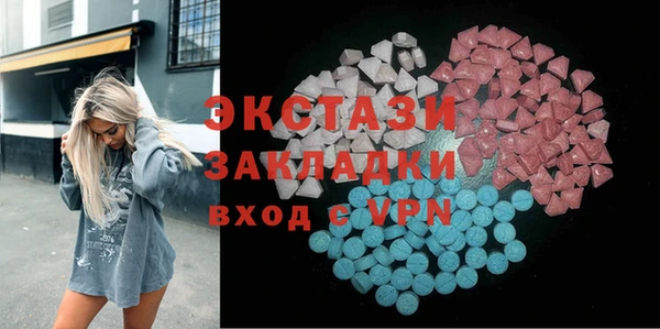 индика Инсар