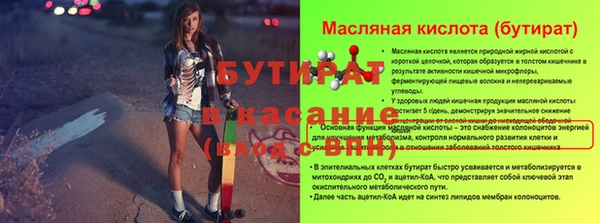 индика Инсар