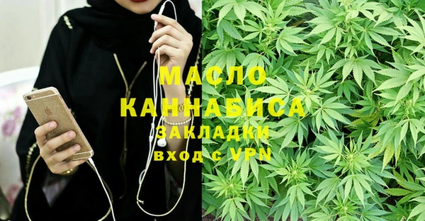 индика Инсар