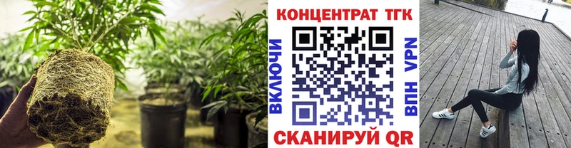 ТГК гашишное масло  Купить закладки  Нижний Тагил 